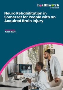 ABI report 190625 - Healthwatch Somerset