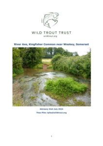 Axe-Kingfisher-Common-AV-FINAL_thumbnail