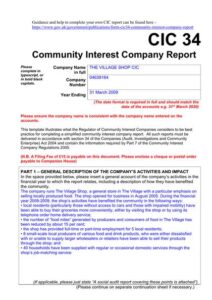 CIC-detailed-community-interest-report-completed-example-1_thumbnail