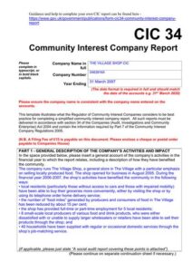 CIC-simplified-community-interest-company-report-completed-example-1_thumbnail